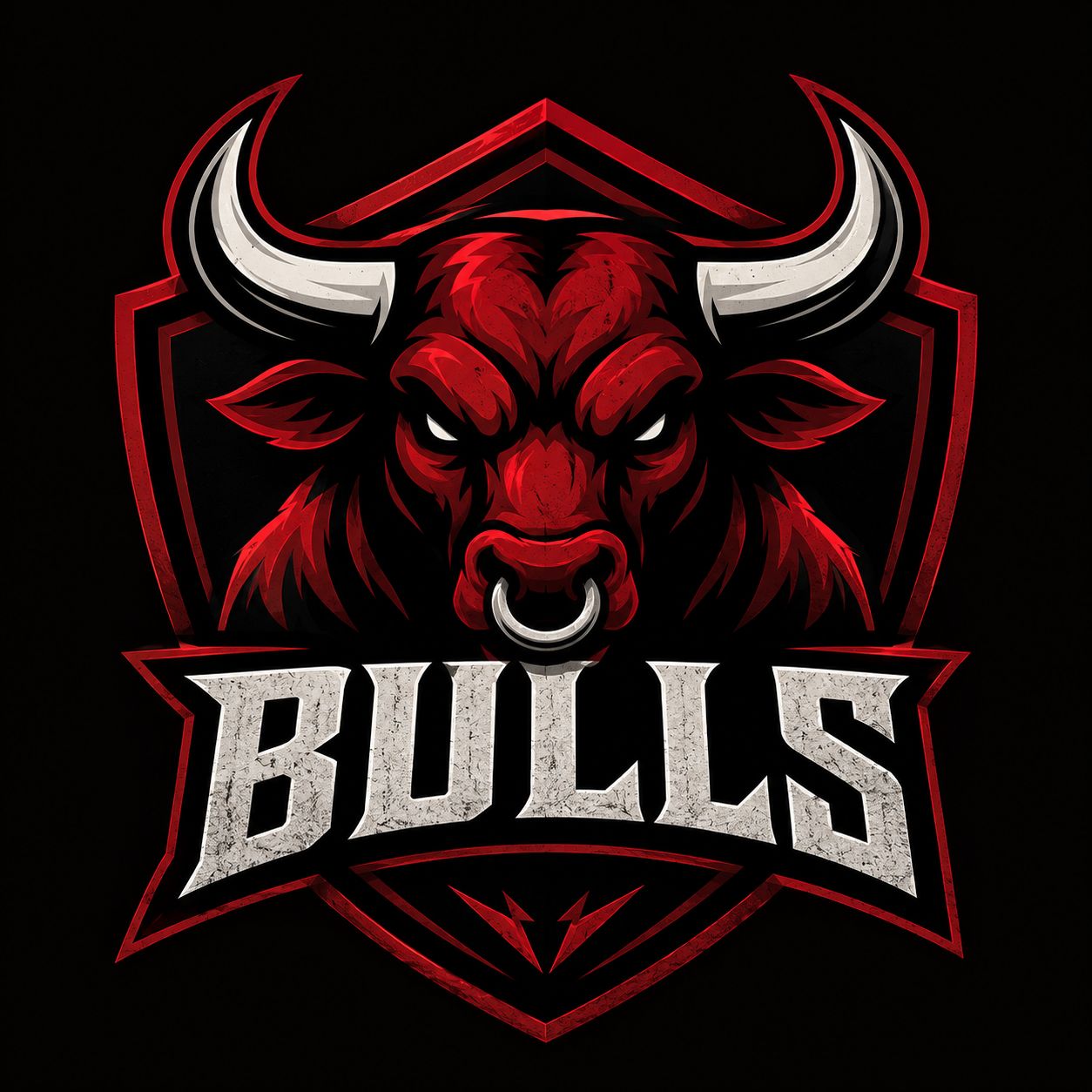 Bulls logo